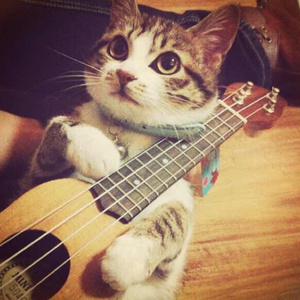 韩国三级HD中文字幕床震
